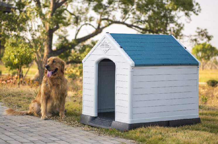 Plastic dog house